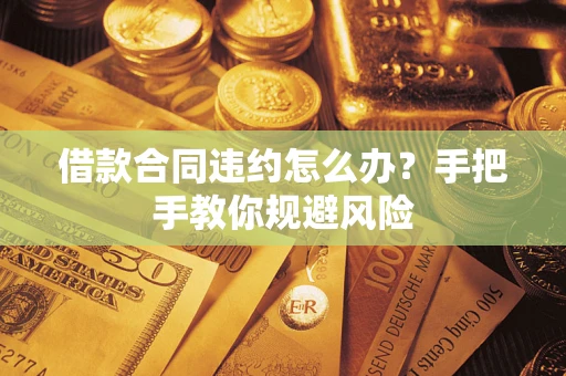 武汉借款合同违约怎么办？手把手教你规避风险