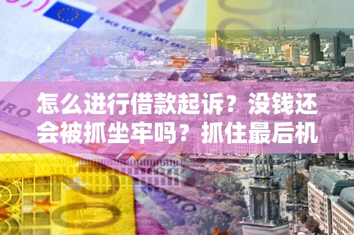 武汉怎么进行借款起诉？没钱还会被抓坐牢吗？抓住最后机会！