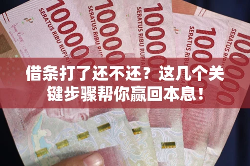 武汉借条打了还不还？这几个关键步骤帮你赢回本息！