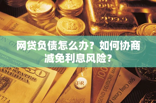 武汉网贷负债怎么办？如何协商减免利息风险？