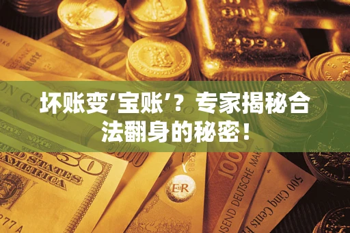 武汉坏账变‘宝账’？专家揭秘合法翻身的秘密！