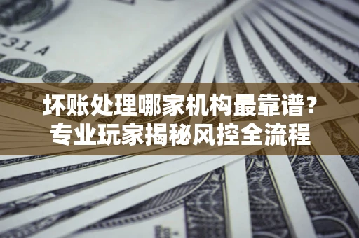 武汉坏账处理哪家机构最靠谱？专业玩家揭秘风控全流程