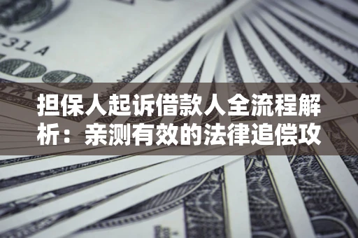 武汉担保人起诉借款人全流程解析：亲测有效的法律追偿攻略