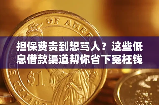 武汉担保费贵到想骂人？这些低息借款渠道帮你省下冤枉钱