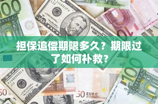 武汉担保追偿期限多久？期限过了如何补救？