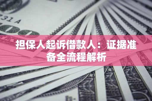 武汉担保人起诉借款人：证据准备全流程解析
