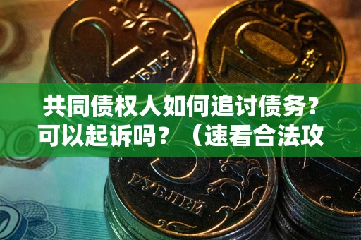 武汉共同债权人如何追讨债务？可以起诉吗？（速看合法攻略）