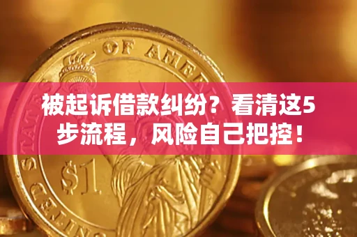 武汉被起诉借款纠纷？看清这5步流程，风险自己把控！