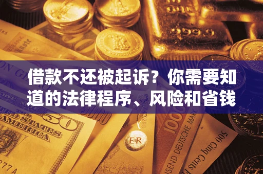 武汉借款不还被起诉？你需要知道的法律程序、风险和省钱技巧