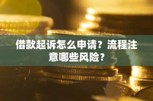 武汉借款起诉怎么申请？流程注意哪些风险？