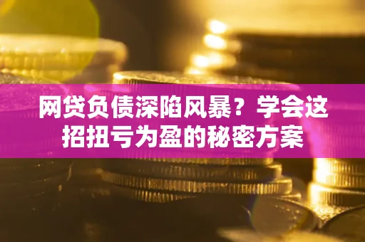 武汉网贷负债深陷风暴？学会这招扭亏为盈的秘密方案