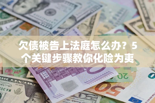 武汉欠债被告上法庭怎么办？5个关键步骤教你化险为夷